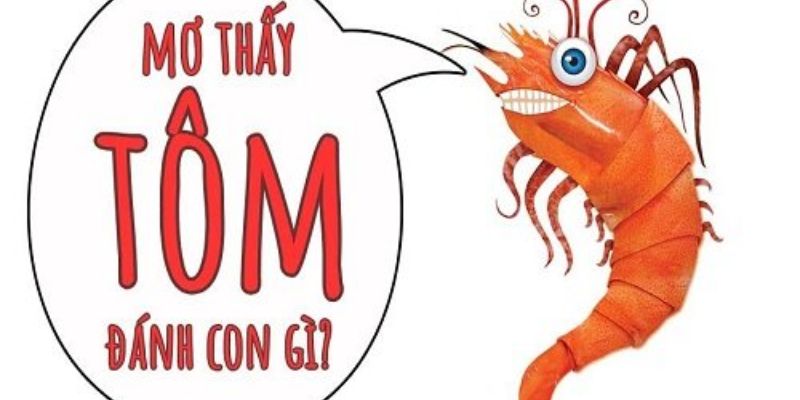 Đánh con gì để may mắn khi mơ thấy tôm? Đánh con gì để may mắn khi mơ thấy tôm?