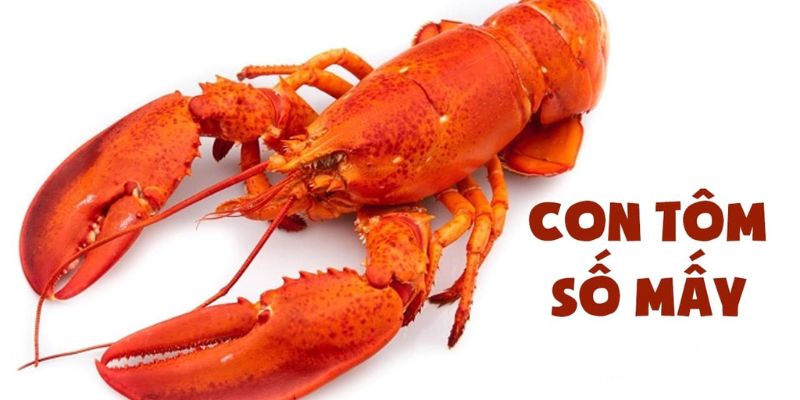 Giải mã chi tiết giấc mơ thấy tôm Giải mã chi tiết giấc mơ thấy tôm